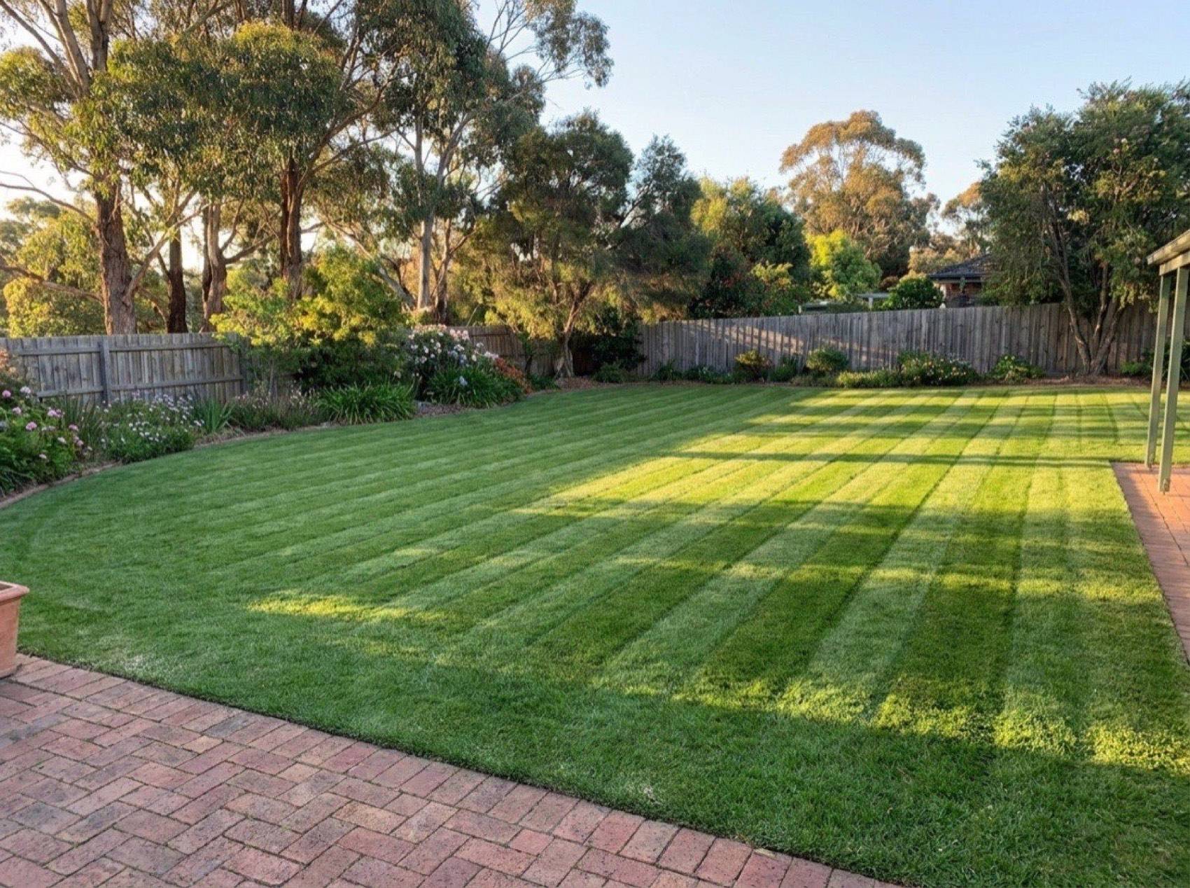 A mown backyard lawn edged by a timber fence and gum trees