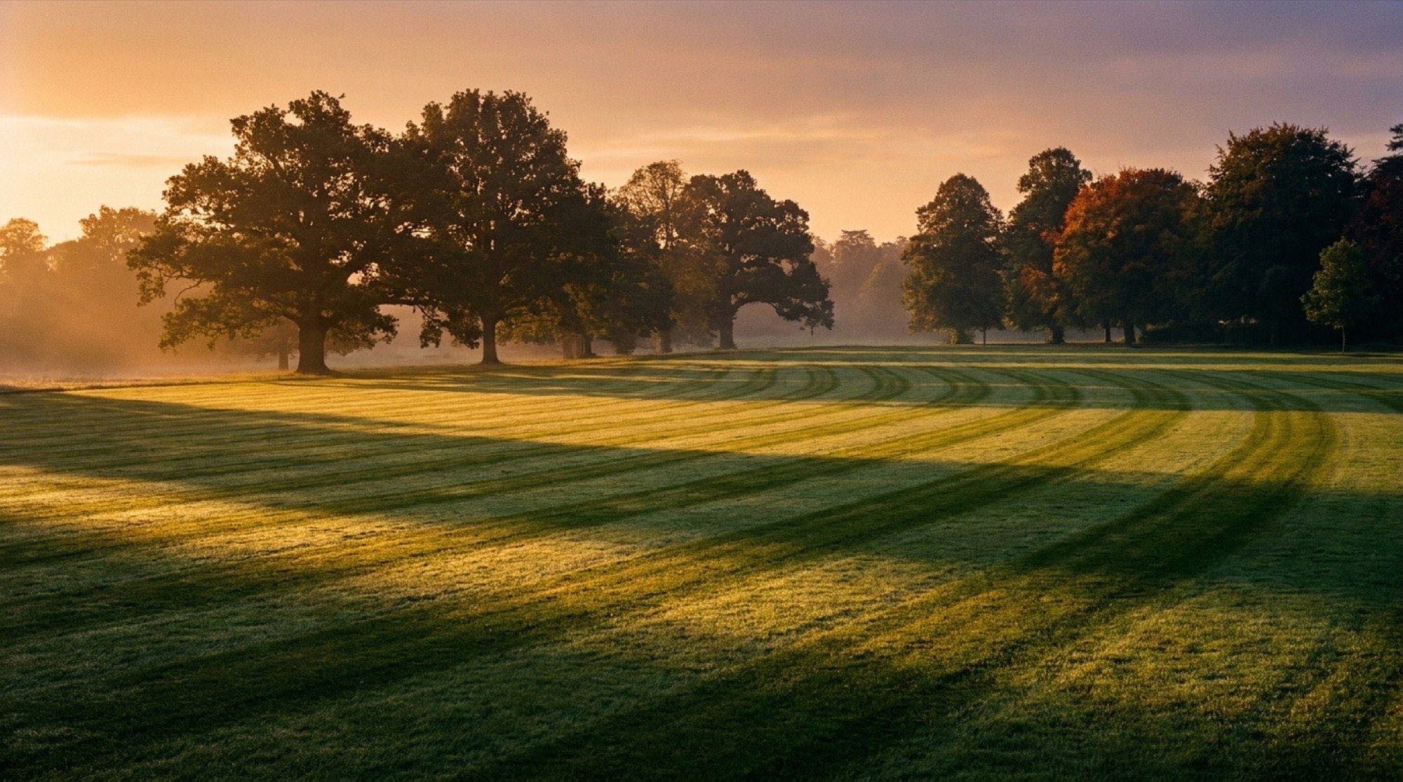 A wide mown lawn with cut stripes running toward trees in morning mist