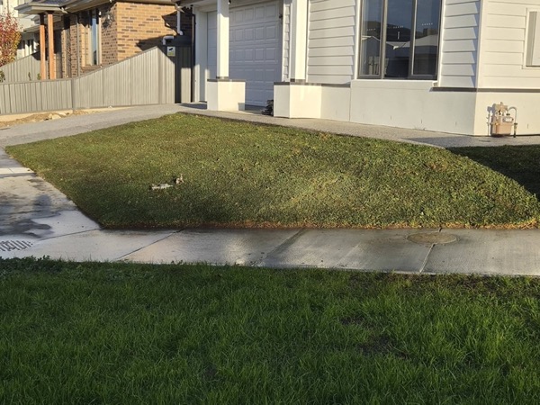 A mown front lawn beside a concrete path and a weatherboard house