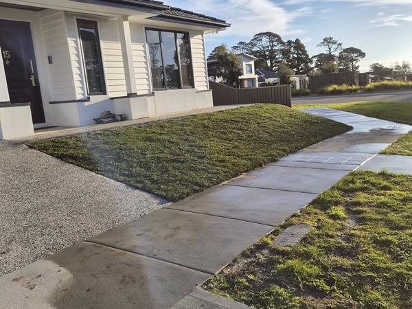 A mown front lawn and nature strip beside a wet concrete footpath