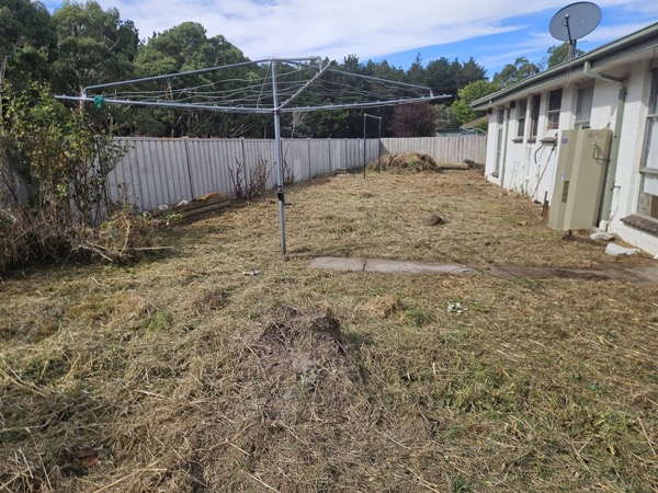 A back yard cut back short around a rotary clothesline