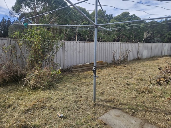 A cut-back back yard with a rotary clothesline and a paling fence