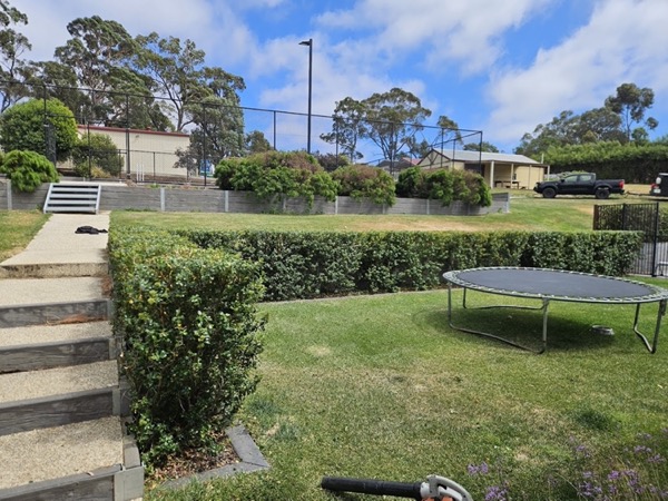 A back lawn with a trampoline, steps and a clipped hedge