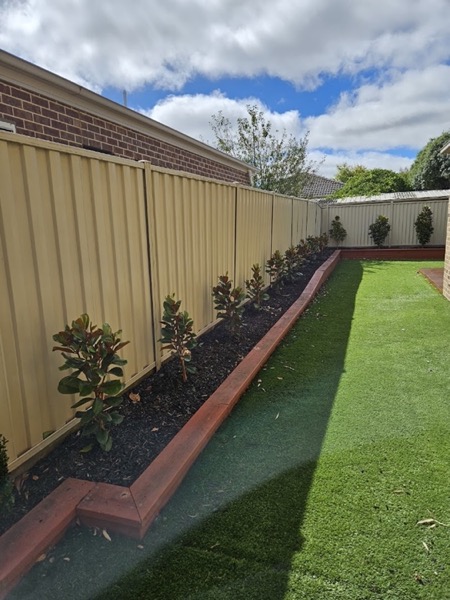 A narrow strip of lawn between a paling fence and a garden bed