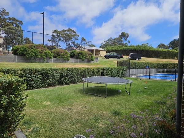 A back lawn with a trampoline, hedge and a pool beyond the fence