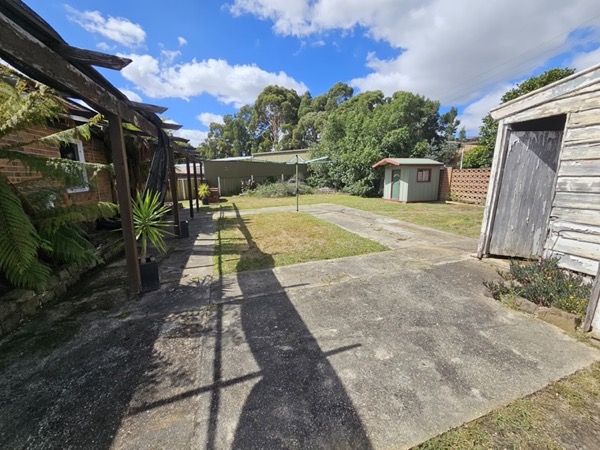 A concrete driveway running between a shed and a pergola