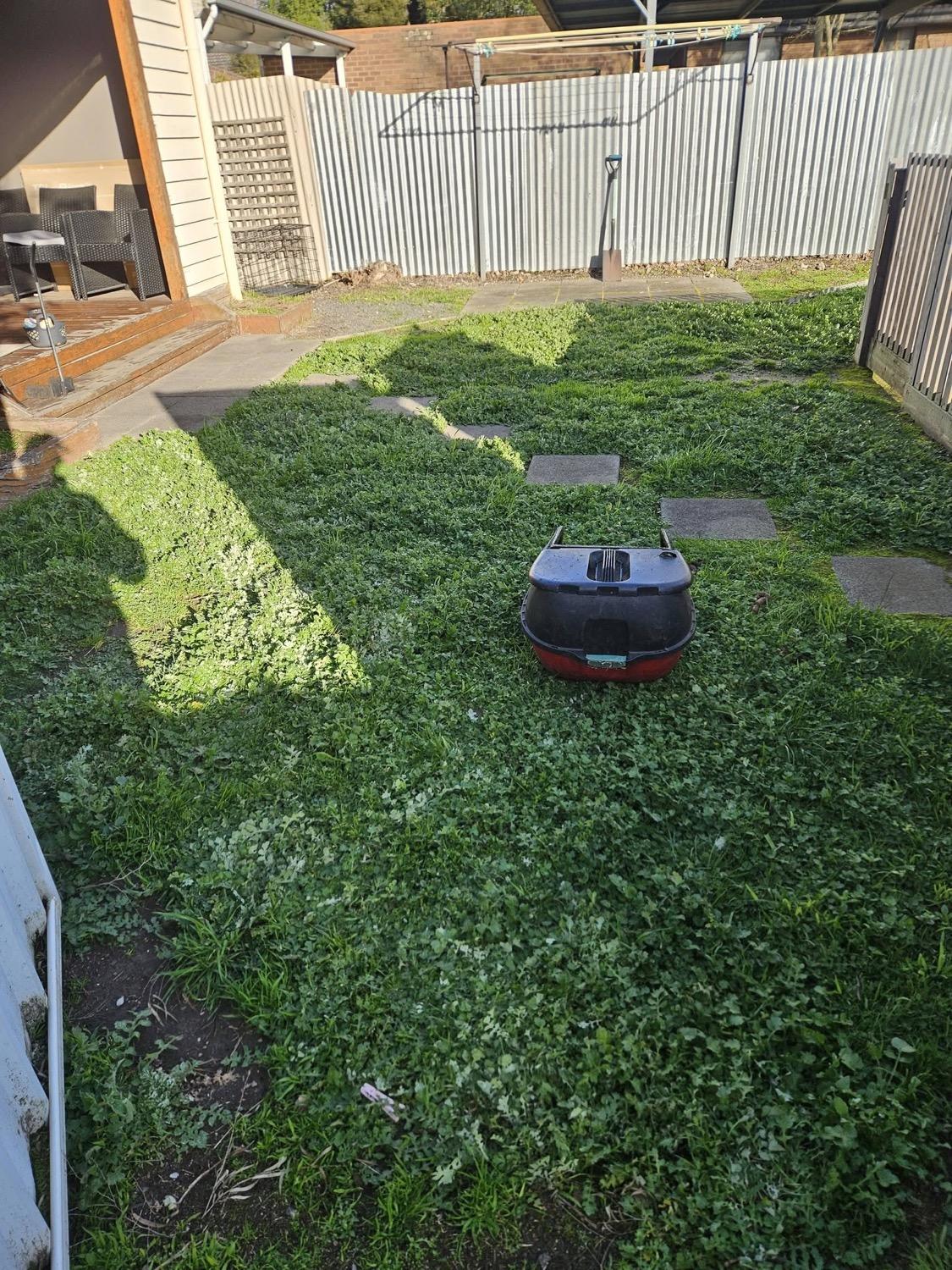 A mower with its catcher parked on a freshly cut back lawn beside a paved area