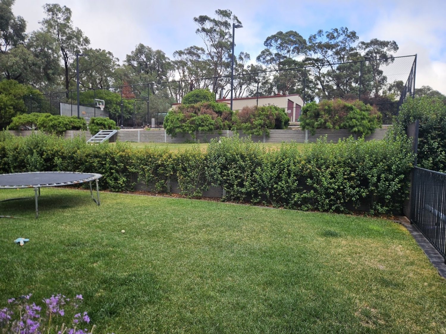 A wide back lawn with a trampoline and a clipped hedge along the boundary
