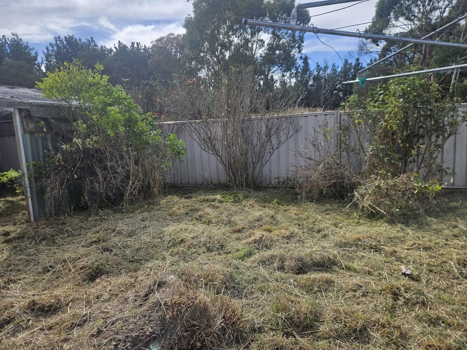 A cleared yard along a paling fence with the cut growth taken away