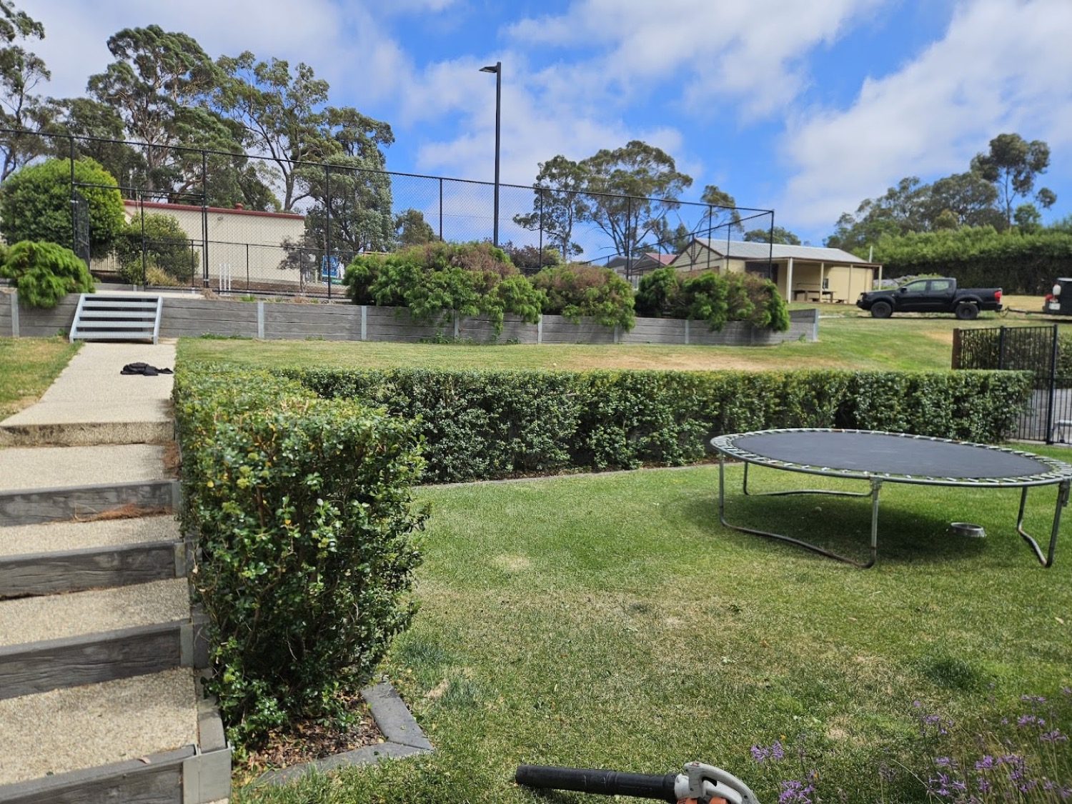 A back lawn with a trampoline, steps and a clipped hedge